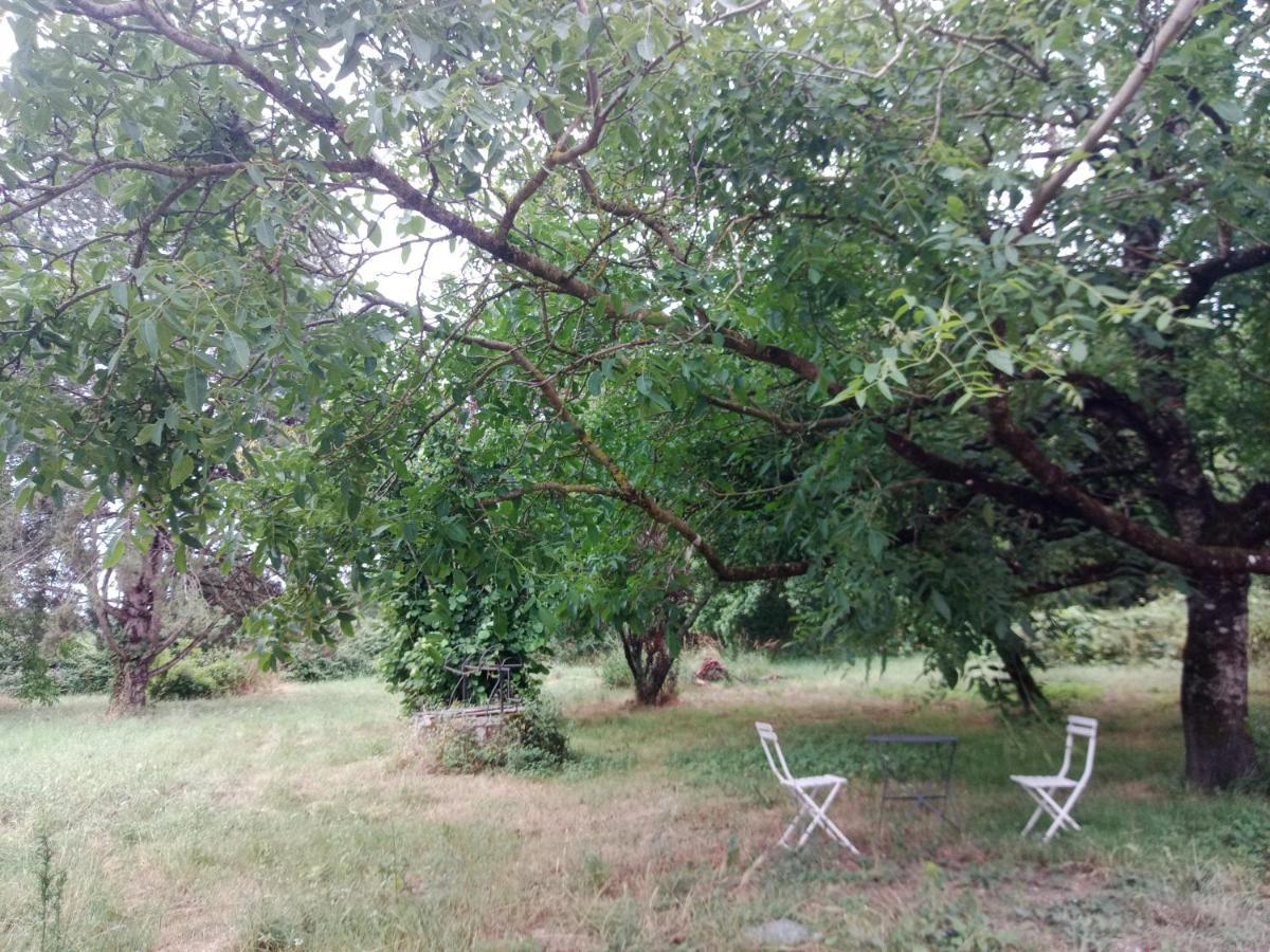 Cottages Et B&B De Troussay Cheverny Exterior foto